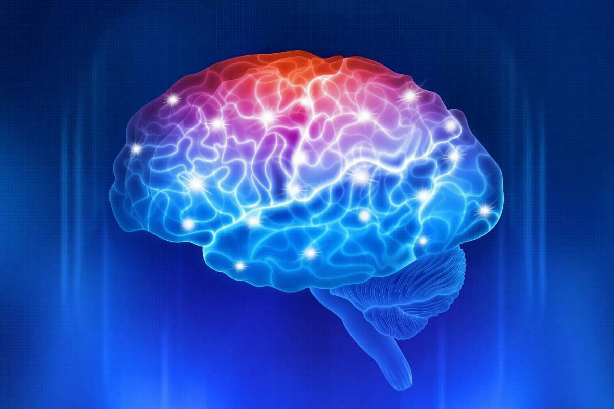 как улучшить память и работу мозга